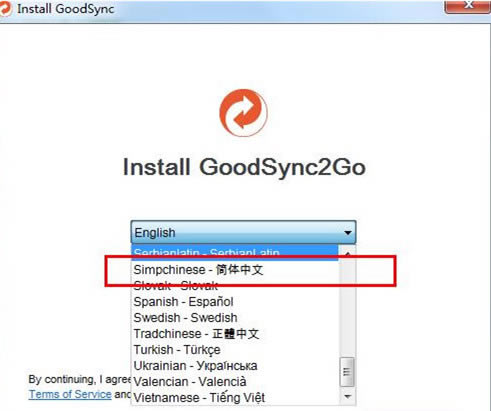 goodsync2go