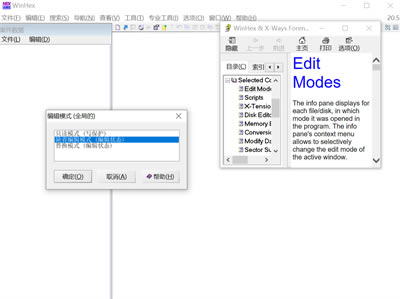 winhex中文版软件下载-winhex中文版磁盘重组软件下载