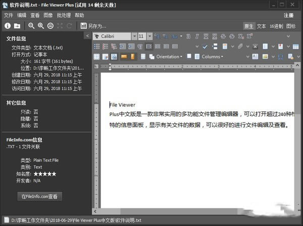 File Viewer Plus