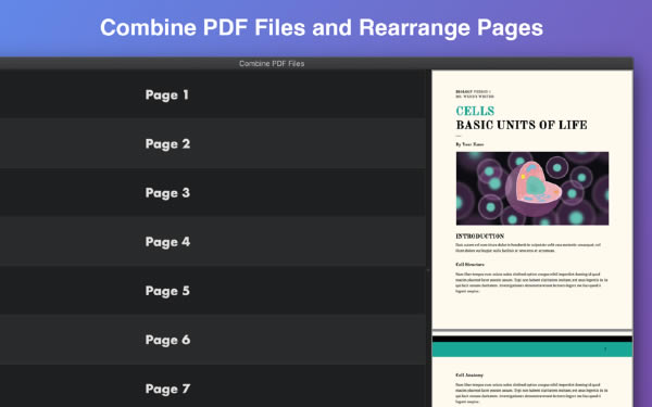 Combine PDF Files