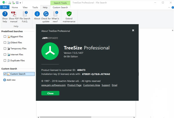 TreeSize Professional