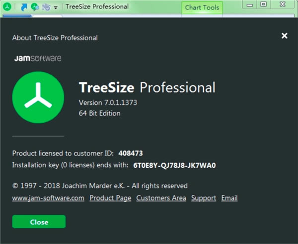 TreeSize Professional