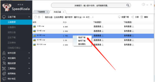 speedkoalabd云加速