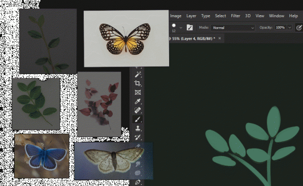 PureRefԶ˹ٷ2024°ɫذװ