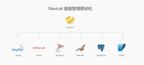 Navicat for MySQL 64位简体中文官方版软件介绍截图