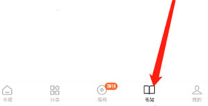 番茄小说去广告精简版怎么下载小说截图1