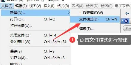 maple����ʹ�ý̳̽�ͼ2