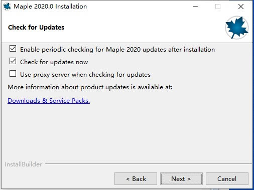 Maple2022��װ�̳̽�ͼ6