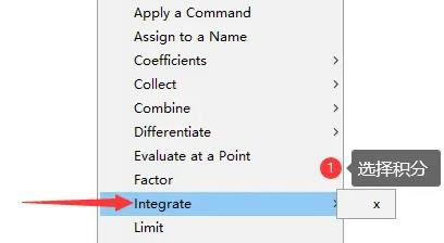 maple����ʹ�ý̳̽�ͼ6