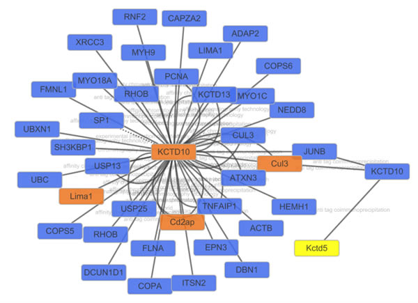 ôͨCytoscape3