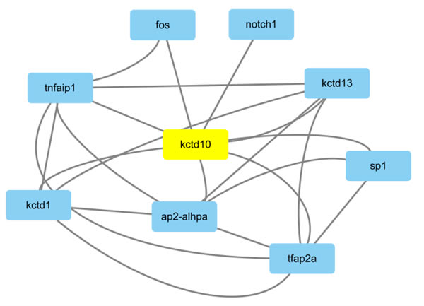 ôͨCytoscape6