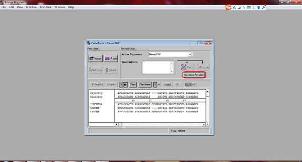��Primer Premier 6�ر�����ء�Primer Premier 6����������� v6.24 �����ر��-��վ