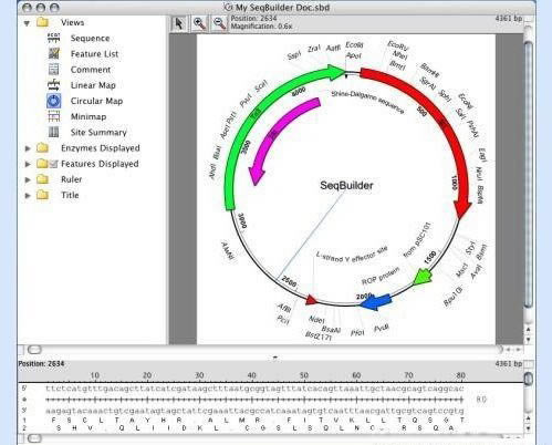 DNAstar���� ��1��ͼƬ