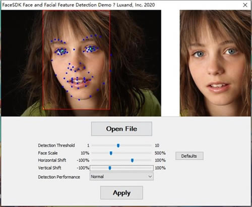 Luxand FaceSDK特别版截图