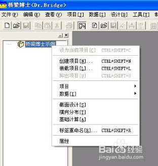 【桥梁博士4.0破解版】桥梁博士破解版下载 v4.0 绿色中文版(附安装教程)-本站