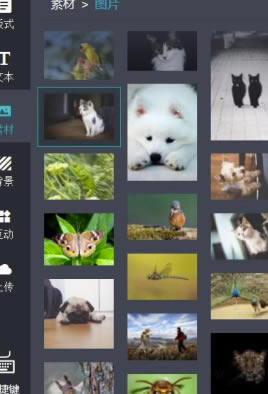 MAKA2020�ر����ô����ͼƬ