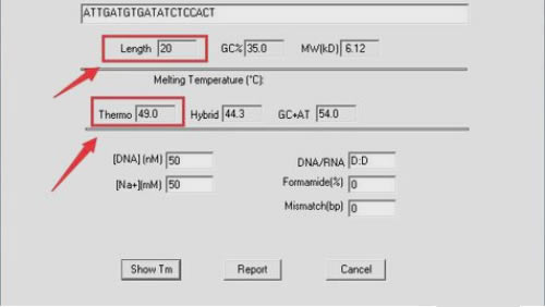 DnaMan������ô�������