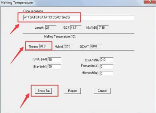 DnaMan������ô�������