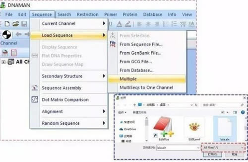 DnaMan������ô�������бȶ�ͼ