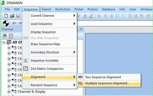 DnaMan������ô�������бȶ�ͼ