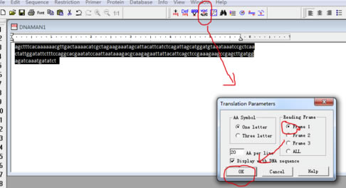 DNAMAN特别版怎么翻译氨基酸
