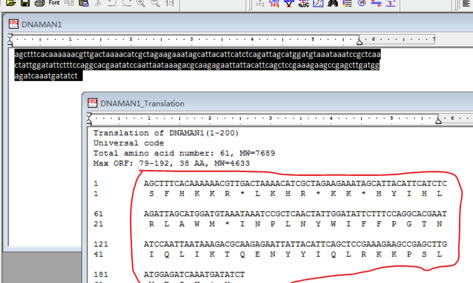 DNAMAN特别版怎么翻译氨基酸