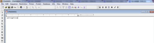 DNAMAN特别版怎么反向互补