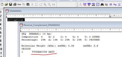 DNAMAN特别版怎么反向互补