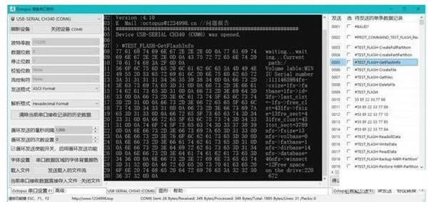 Octopus���㴮����������