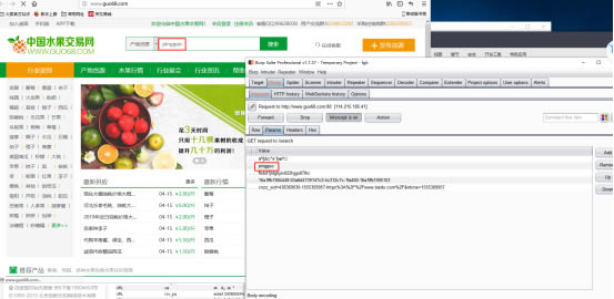 BurpSuite特别版使用教程9