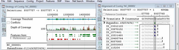 ��������1