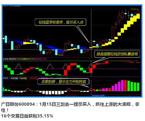 黄蓝带功能介绍3