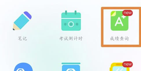 �����γ̱����԰���ô��ɼ�