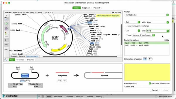 SnapGeneƽءSnapGeneƽ v7.1.05 ʽ