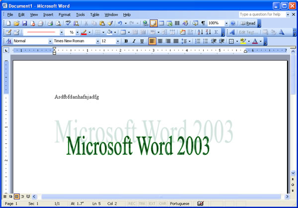 Microsoft Office2003