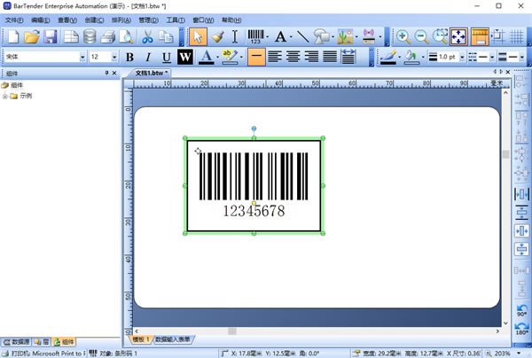 BarTender��������Ѱ� ��1��ͼƬ
