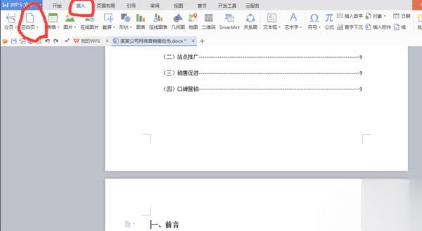 WPS�ٷ����԰泣������2