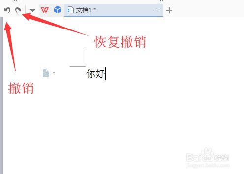 WPS2022רҵ��ǿ���ر��ʹ�ü���4