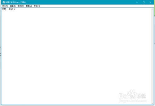 天若OCR文字识别破解版怎么识别图片文字1