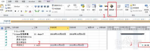 project项目管理软件