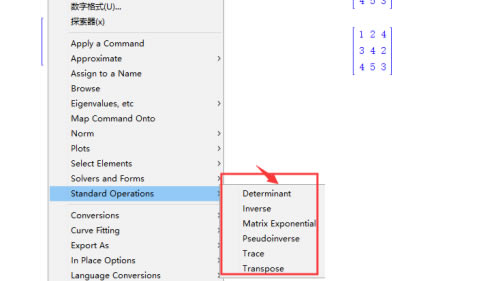 Maple免费版使用教程截图