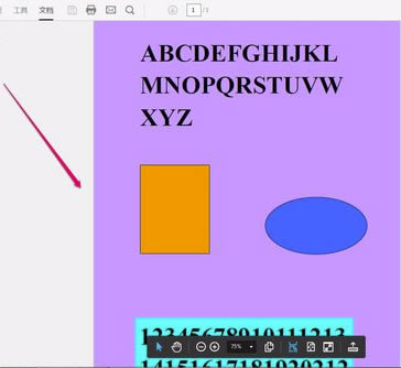 Adobe Acrobat特别版怎么转换word
