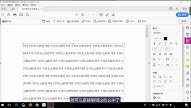 Adobe Acrobat特别版怎么修改文字