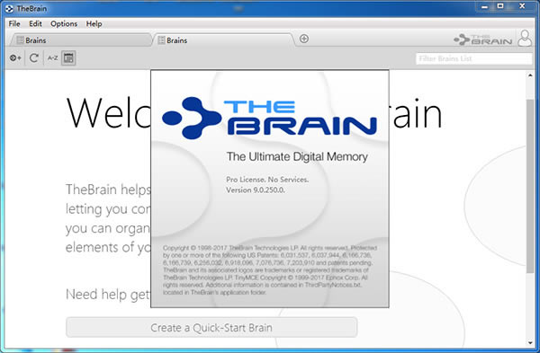 【thebrain破解版】Thebrain11下载(3D思维导图软件) v11.0.68 中文破解版-本站