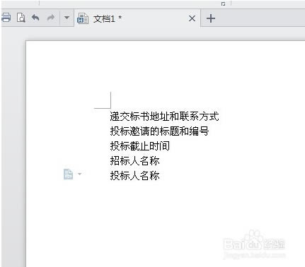 Word标书封条格式范本