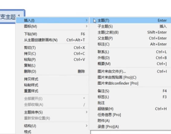 Xmind Zen 2020怎么设置填充颜色