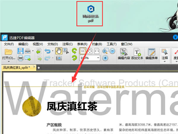 迅捷PDF编辑器去水印特别版怎么去除水印