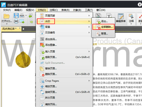 迅捷PDF编辑器去水印特别版怎么去除水印