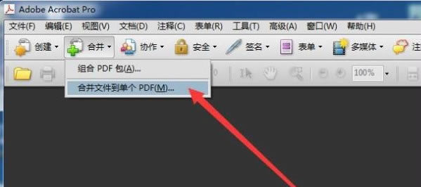 Adobe Acrobat Professional PDFϲ