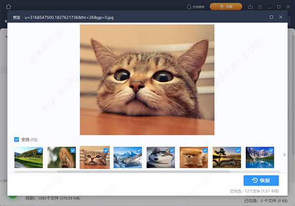 易我数据恢复绿色便携版软件功能截图